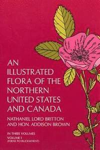 An Illustrated Flora of the Northern United States and Canada: v. 1 (h�ftad)