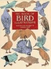 Big Book of Bird Illustrations (h�ftad)