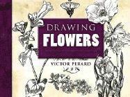 Drawing Flowers (h�ftad)