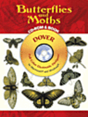 Butterflies and Moths [With CD-ROM] (inbunden)