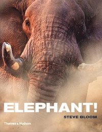 Elephant! (inbunden)