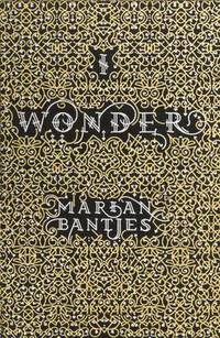I Wonder (inbunden)