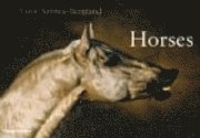 Horses (inbunden)