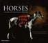 Horses For Children