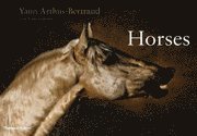Horses (inbunden)