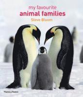 My Favourite Animal Families (inbunden)