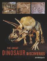 The Great Dinosaur Discoveries (h�ftad)