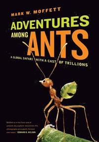 Adventures Among Ants (inbunden)