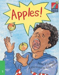 Cambridge Storybooks Multipack Level 3 Paperback Set (18) with Teacher's Book and Audio CD Polish edition (h�ftad)