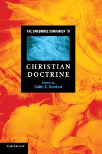 The Cambridge Companion to Christian Doctrine (h�ftad)