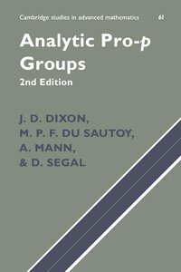 Analytic Pro-P Groups (h�ftad)