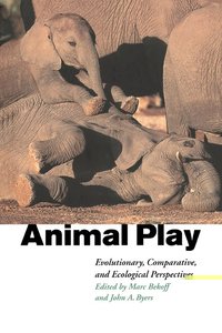 Animal Play (h�ftad)