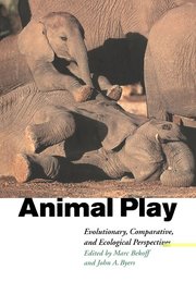 Animal Play (h�ftad)