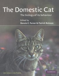 Domestic Cat (h�ftad)