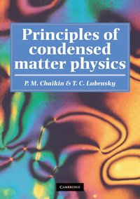 Principles of Condensed Matter Physics (h�ftad)