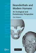 Neanderthals and Modern Humans