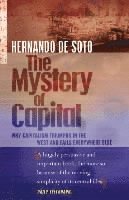 The Mystery of Capital (h�ftad)