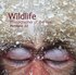 Wildlife Photographer of the Year Portfolio 22: Portfolio 22