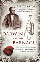 Darwin and the Barnacle (h�ftad)
