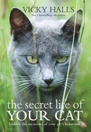The Secret Life of Your Cat (inbunden)