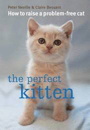 The Perfect Kitten (inbunden)