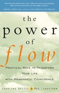 Power of Flow