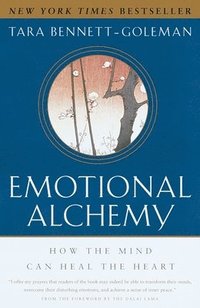 Emotional Alchemy (h�ftad)