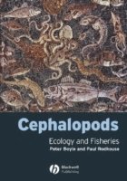Cephalopods (inbunden)