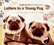 Letters to a Young Pug (inbunden)