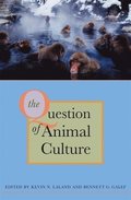 The Question of Animal Culture