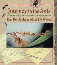 Journey to the Ants (h�ftad)