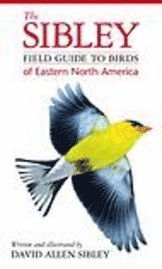 The Sibley Field Guide to Birds of Eastern North America (inbunden)