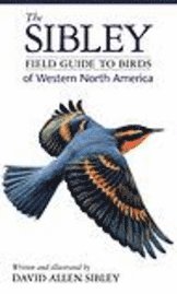 The Sibley Field Guide to Birds of Western North America (inbunden)