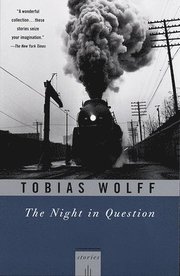 The Night in Question: Stories (h�ftad)