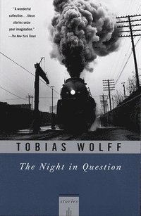 The Night in Question: Stories (h�ftad)