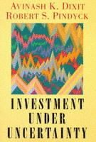 Investment Under Uncertainty (inbunden)