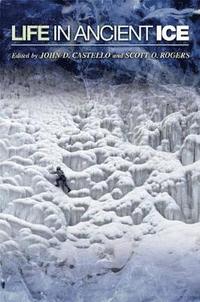 Life in Ancient Ice (h�ftad)