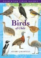 Birds of Chile (h�ftad)