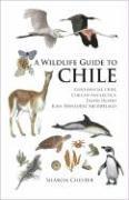 A Wildlife Guide to Chile (h�ftad)