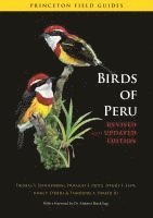 Birds of Peru (h�ftad)