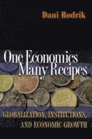 One Economics, Many Recipes (h�ftad)