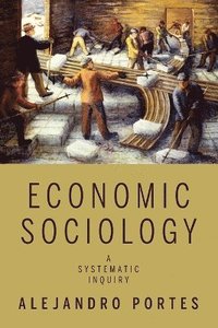 Economic Sociology (h�ftad)
