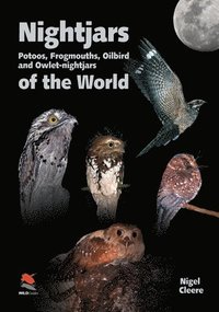 Nightjars, Potoos, Frogmouths, Oilbird, and Owlet-Nightjars of the World (inbunden)