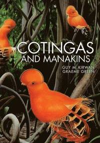 Cotingas and Manakins (inbunden)