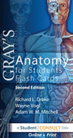Gray's Anatomy for Students Flash Cards ()