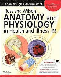 Ross and Wilson Anatomy and Physiology in Health and Illness (h�ftad)