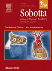 Sobotta - Atlas of Human Anatomy English/Latin Single Volume Edition (inbunden)