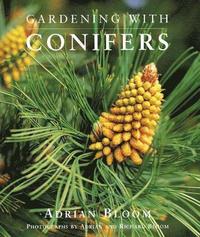 Gardening with Conifers (inbunden)