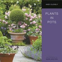 Plants in Pots (inbunden)
