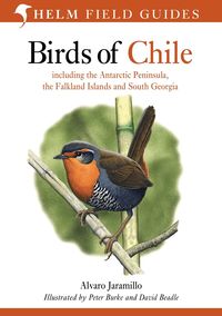Birds of Chile (inbunden)